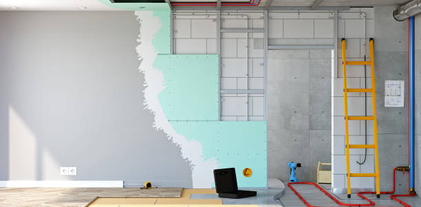 Professional Mold Removal in Cudahy, CA