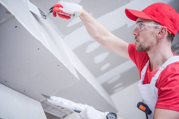 Dehumidification Services in Cudahy, CA